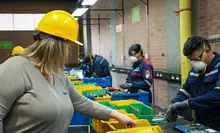 Tecnolog&iacute;as para Aprender y Fundaci&oacute;n Ceibal de Uruguay cocrean modelo 