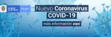 CoronavirusMesa de trabajo
