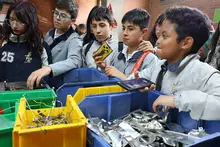 Regresaron los niños a la sala de innovación